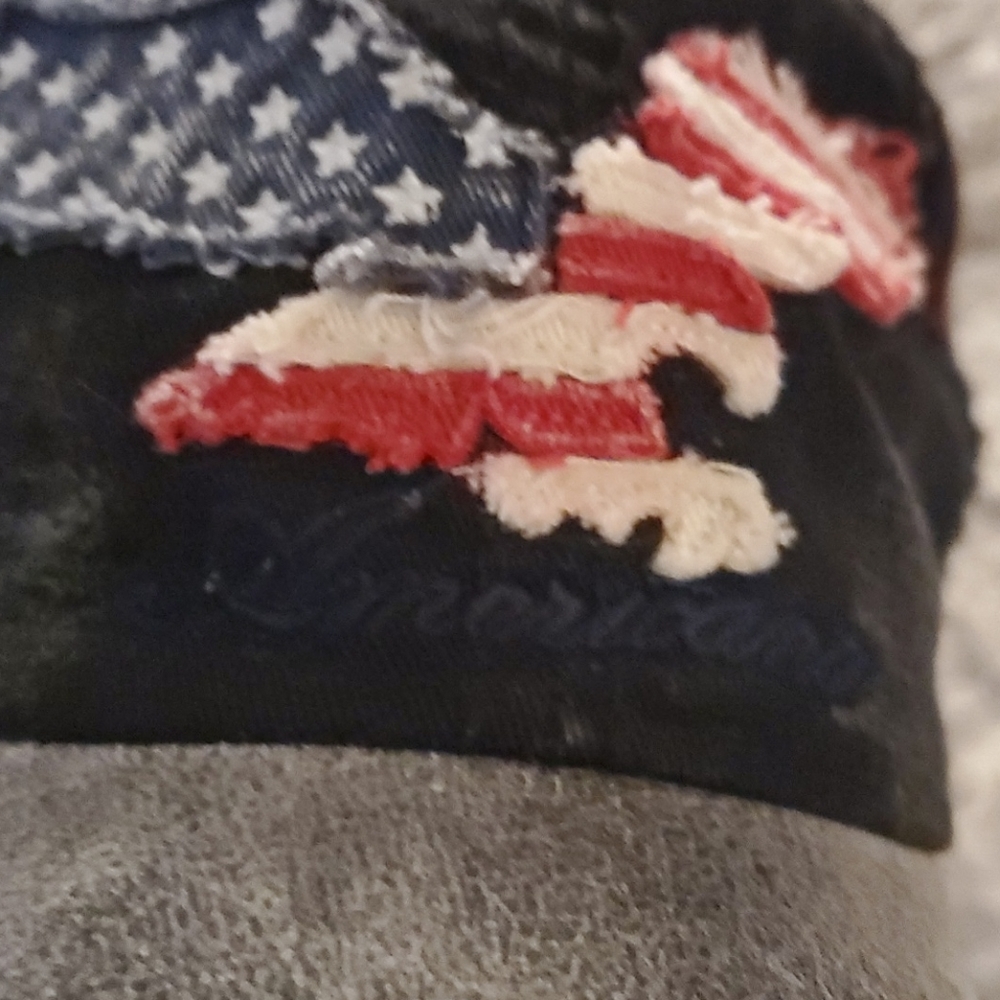 American Eagle Hat - image 3